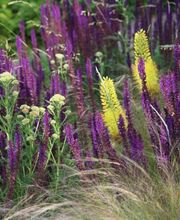 Kaiser Gartenbau GmbH Bild 7