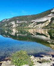 Magic Immobilier image 2