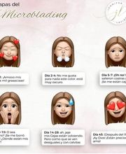 etapasdelmicroblading.jpg