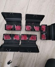 GN3D Dératisation Désinsectisation image 6