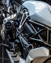 Triumph Bordeaux image 16