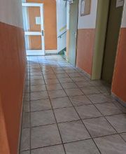 Gartenservice Cedric Rother Bild 6