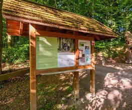 FriedWald Kalletal Bild 10