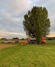 Tinguely Service de Voirie SA Bild 7