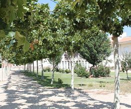 garden.jpg