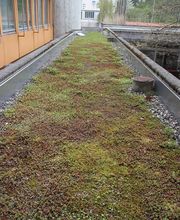 Bauert AG Parkpflege Gartenbau Bild 10