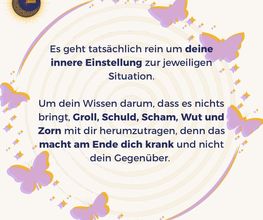 LebeLieberLimonade Bild 4