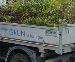 Borner Gartengestaltung GmbH Bild 2