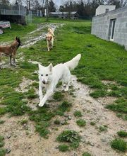 Le royaume du Bonheur image 2