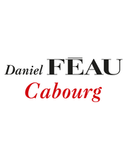 Daniel Féau Cabourg image 1