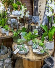 Au Parfum des Fleurs image 13