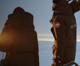 Canada Goose Zurich Bild 2