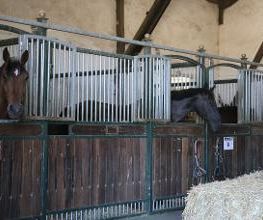Reitschule Lautlos Bild 12