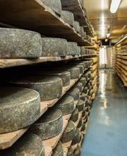 Käserei Stofel AG Bild 1