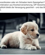 Baloise - Sascha Müller in Rheine Bild 4