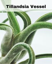 Dig It Gardens image 19