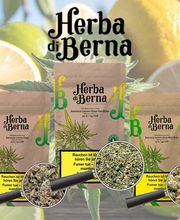 Herba di Berna AG, Fachgeschäft für CBD & Hanfprodukte Bild 14