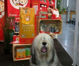 Husse image 1