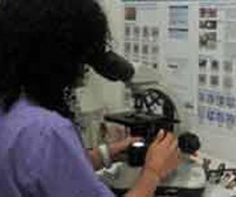 veterinaria-kynos-microscopio-01.jpg