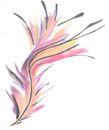 Editions Plume de Soi