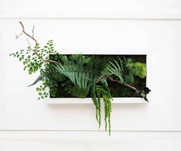 DECO-VEGETALE image 8