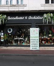 Succulentes & Orchidees image 18