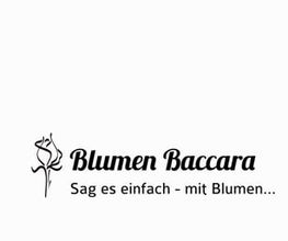 Blumen Baccara Ingolstadt Bild 11