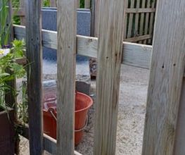 sap007 image 5
