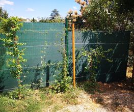 Ecogarden image 8