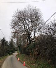 Jean-David Durand Lombard image 3