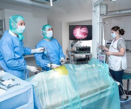 Kleintierklinik Glattfeld AG Bild 4