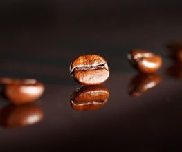 PremiumCoffeeCanarias imagen 3