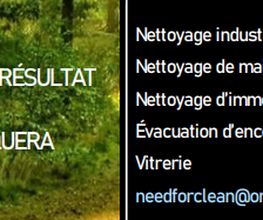 Need For Clean image 11