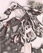 Die Baumkletterer Bild 4