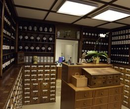 Löwen Apotheke