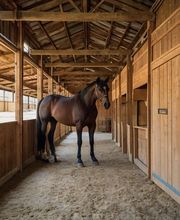 HOOD hygiène pro image 3