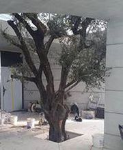 CBG Casa Solution Sagl Bild 5