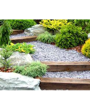 Goetschkes Baumschule & Beerenobst Bild 2