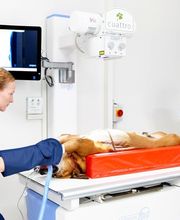 Marigin Tierklinik - 24 Std. Notfalldienst - Zentrum für Tiermedizin Bild 6