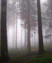 Foissac Pierre image 6