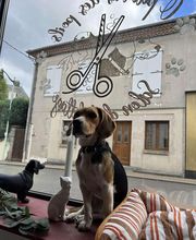 O Paradis des Poils image 4