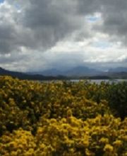 Reisebüro Lüttje Törn Bild 2