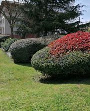 Brin De Nature image 2