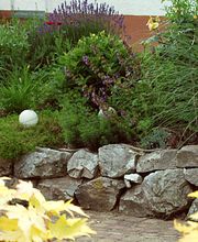 GaLaBau und Grünanlagenpflege