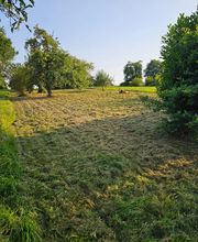 Müller Garten & Haus Bild 11