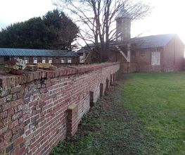 Roye Garden image 12