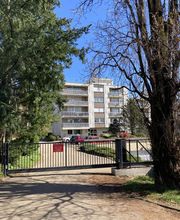 Formet Geraldine image 2