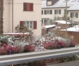 Rollfenster GmbH Bild 13