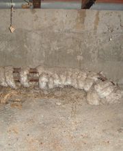 Active Diag13, Expert en Diagnostics immobiliers marseille PACA image 12