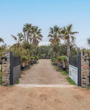 Royal Palm Aix image 9